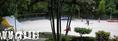 skate photo