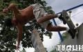 skate photo