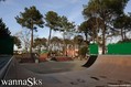 skate photo