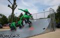 skate photo