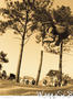 skate photo