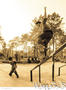 skate photo