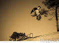 skate photo