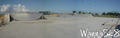 skate photo