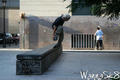 skate photo