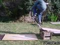 skate photo