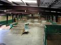 skate photo