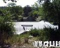 skate photo