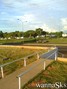 skate photo