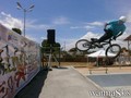 skate photo